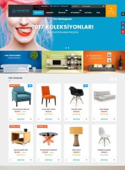 Kolezyon Eticaret Teması