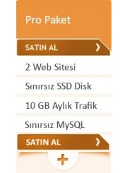 Pro Hosting Paketi