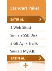 Standart Hosting Paketi