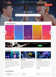 Wordpress Şarkı Sözü Teması